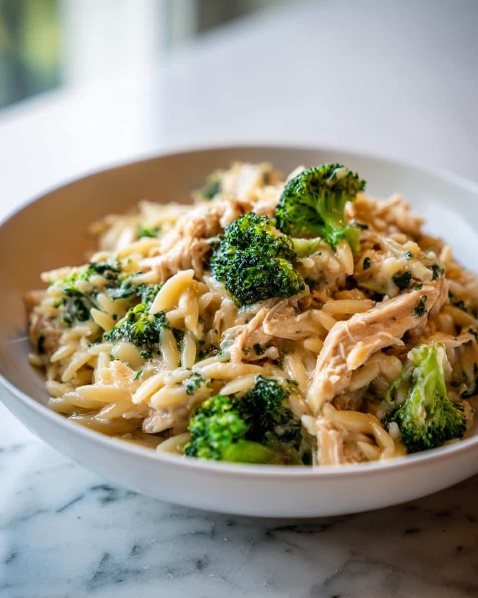 Cheesy Chicken Broccoli Orzo - detail 1