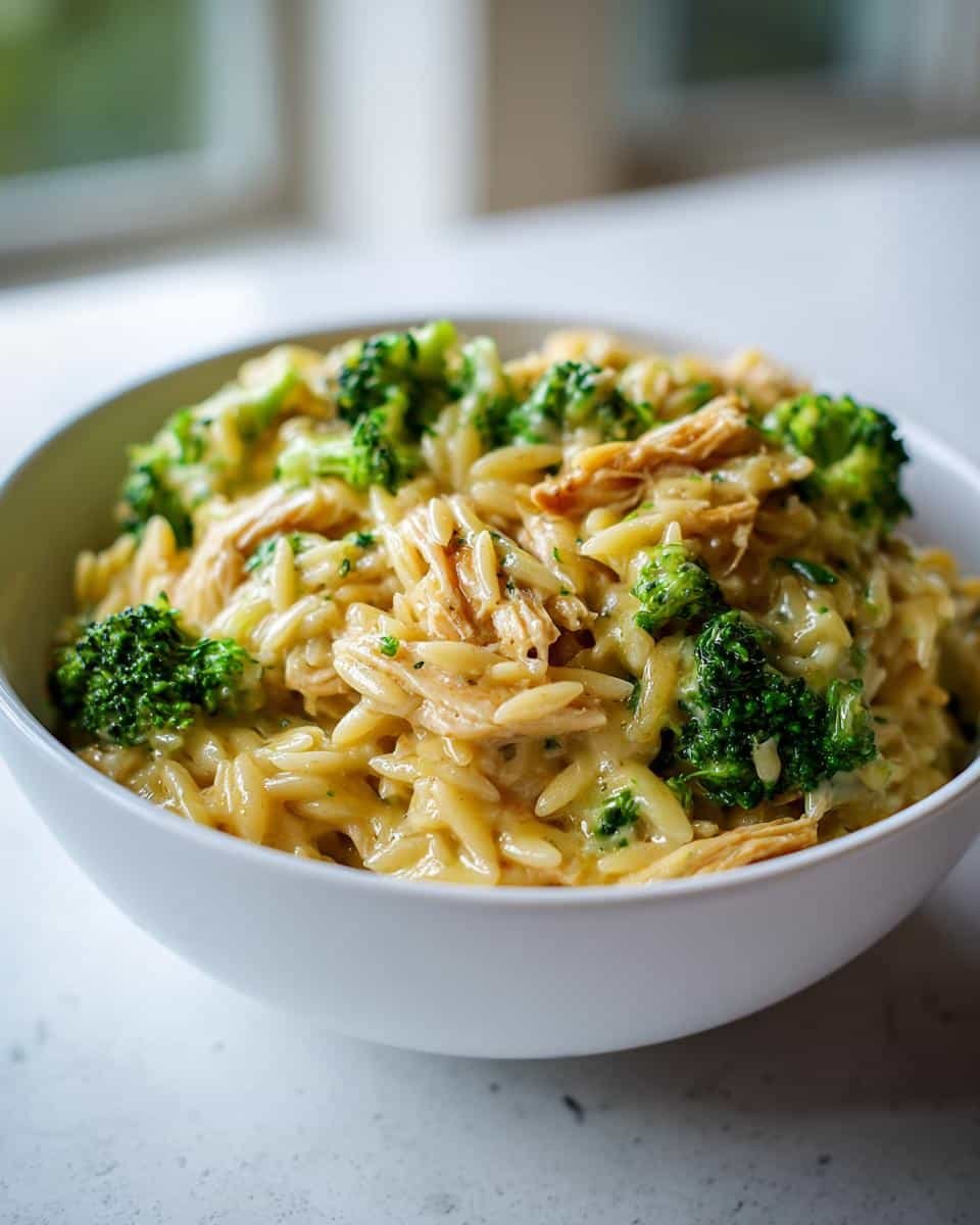 Cheesy Chicken Broccoli Orzo - detail 2